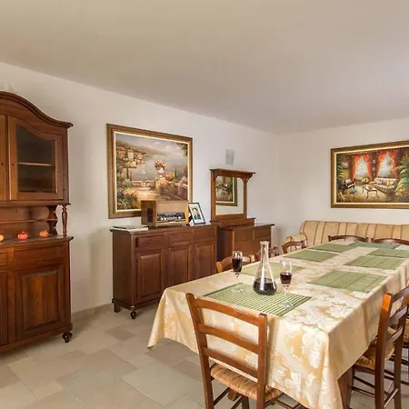 Asteralis * Benkovac